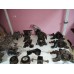Опора двигуна двигателя кпп Daihatsu Terios Sirion Materia Cuore YRV Trevis