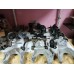 Опора двигуна двигателя кпп Daihatsu Terios Sirion Materia Cuore YRV Trevis